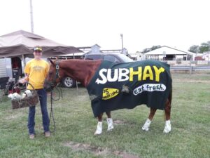 Sub Hay Horse
